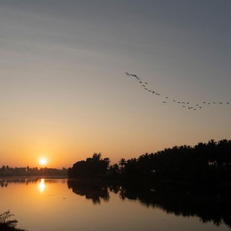 Stayvista At Golden Triangle Kabini With Bonfire, River View & Comp Beakfast Hampāpura Exteriér fotografie