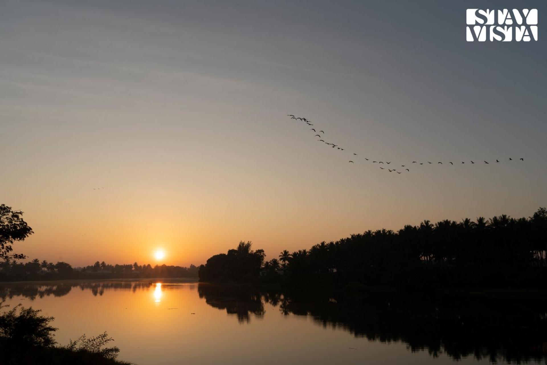 Stayvista At Golden Triangle Kabini With Bonfire, River View & Comp Beakfast Hampāpura Exteriér fotografie